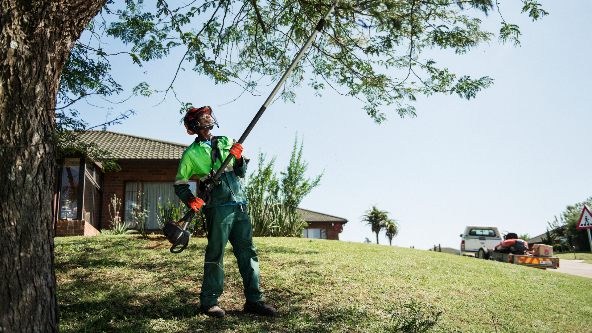 arborist cutting tree branches with pole saw