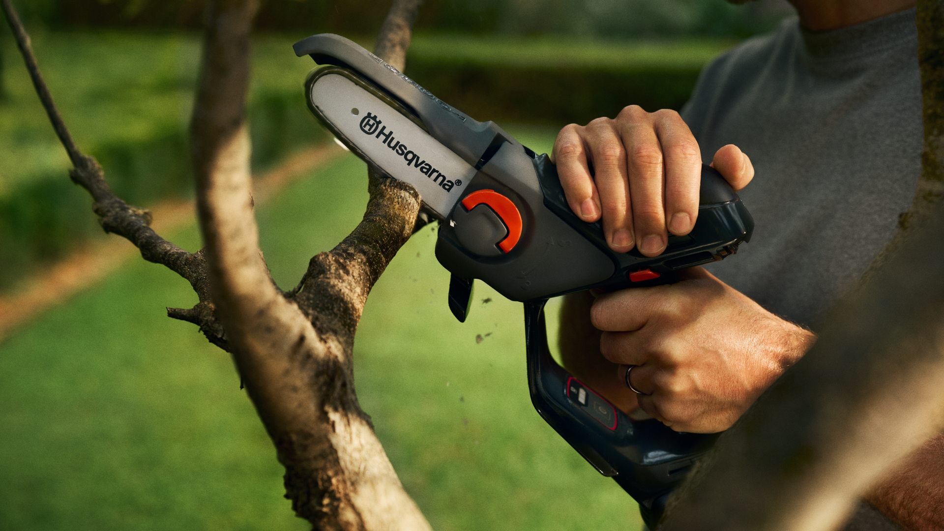 Pruner cutting tree branch