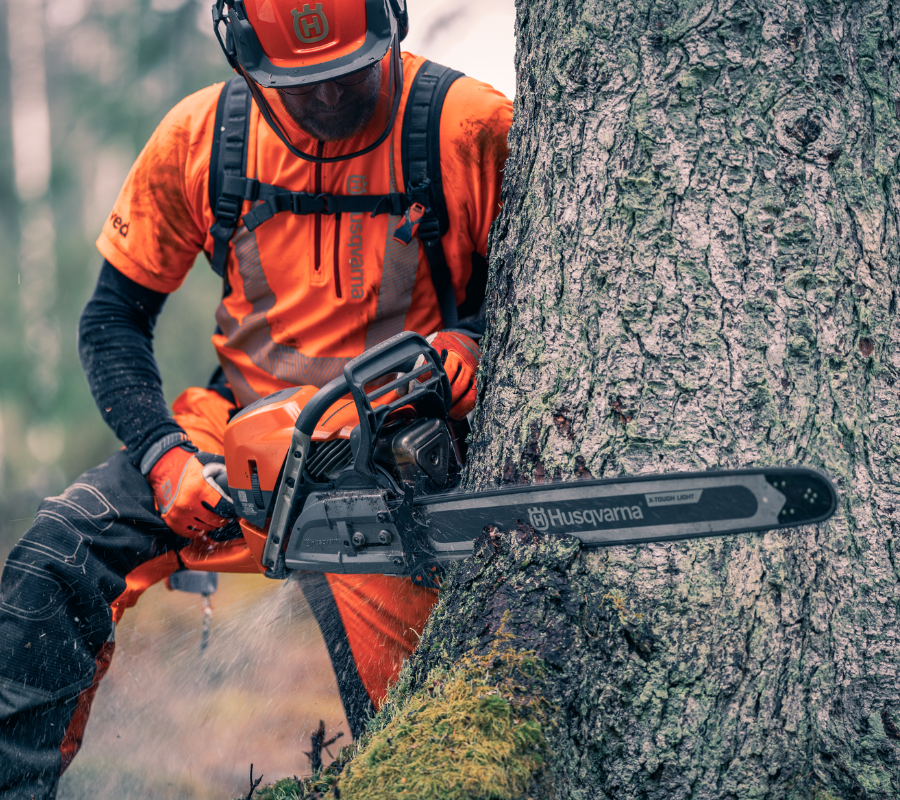 arborist cutting tree trunk with chainsaw