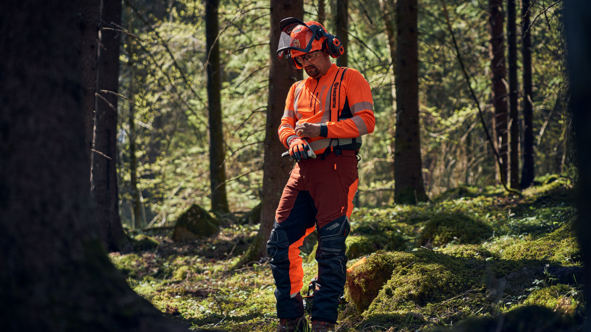 arborist with PPE gear on