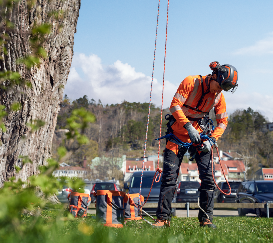 arborist putting PPE gear on