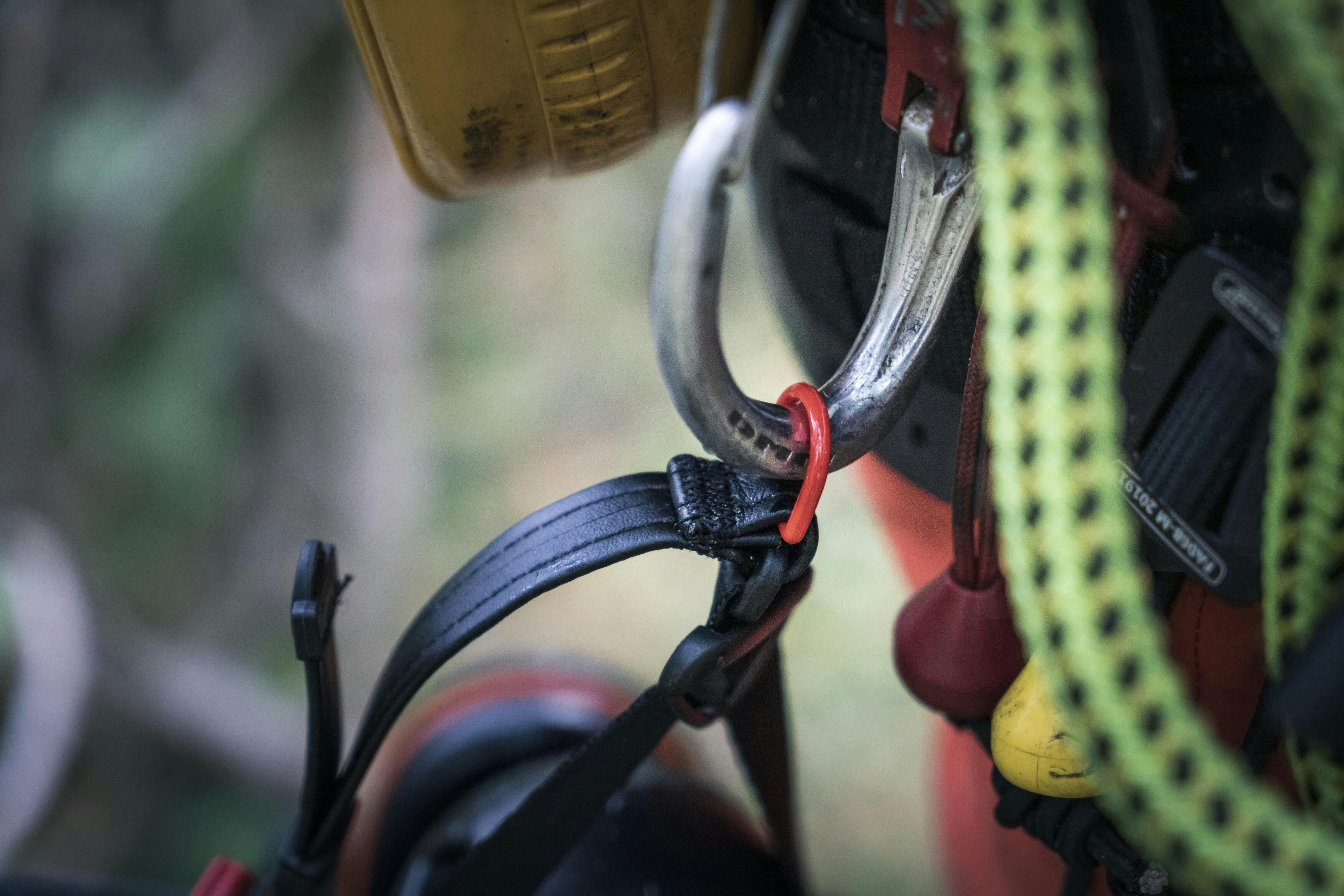 Spire™ Vent Arborist Helmet image 2